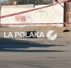Se le Sale una Pata