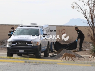 El Perro Fue Testigo