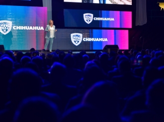 En Medio del Desastre