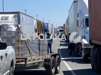 Venganza Gringa Contra Pejemán