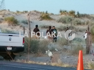 No Vió a Los Tigres