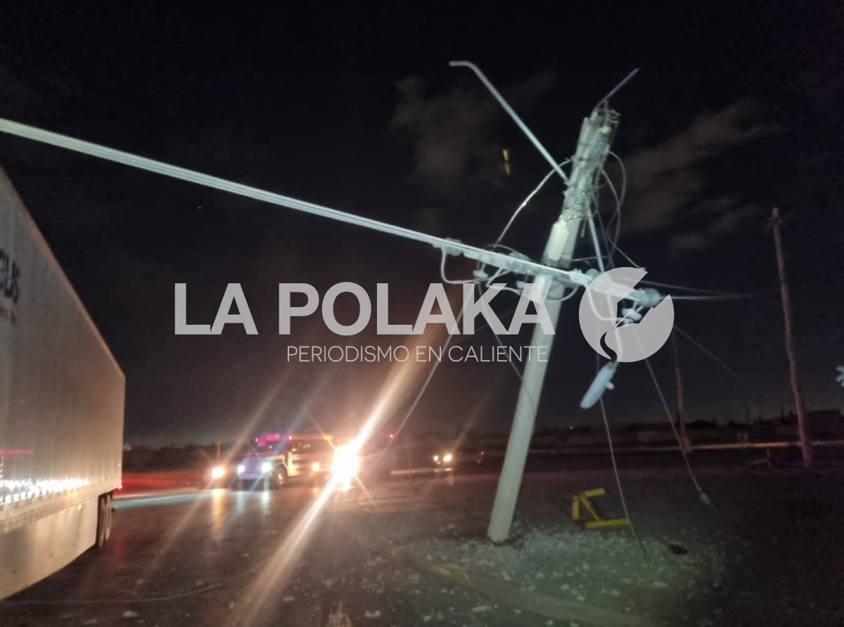 Telaraña Eléctrica