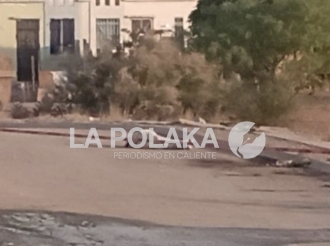 De Seres Infrahumanos