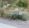 Faltaría Lo Demás