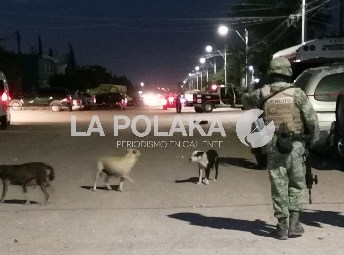 Noche de Perros