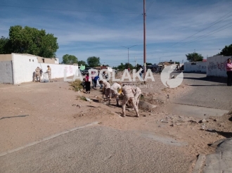 Escobas en Vez de Rifles