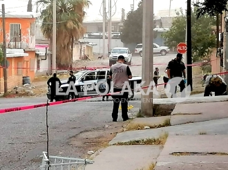 Plomos Por Docena