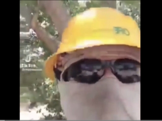 Corrupción Lomera en Juárez