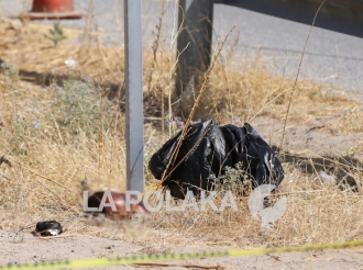 Buscadores de Cadáveres