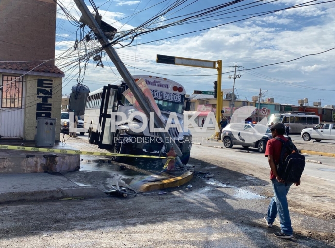 No Vieron el Novelón