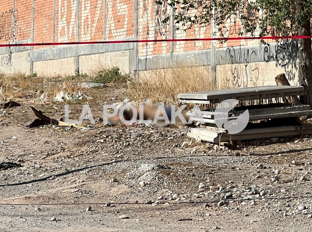 Como Parte del Basurero