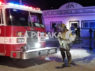 Furia Contra el Perro Max