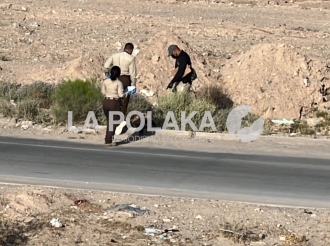 Logística del Crimen