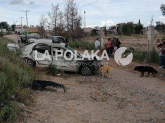 Inspección Nasal del Auto