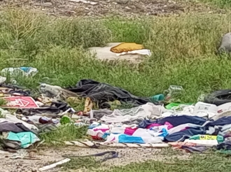 Actualización al Informe