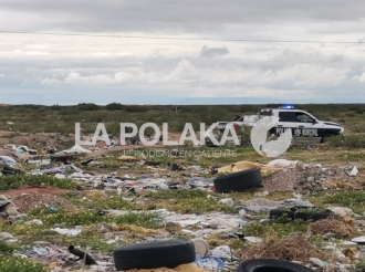 Apurados Para el Informe