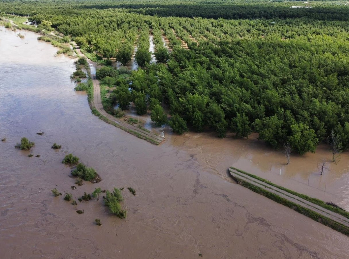 Despanzurra el Rio Florido