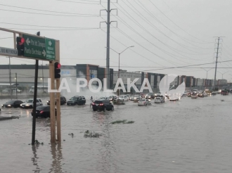 Diluvio en Bachelandia