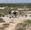 En Modo Tamal 