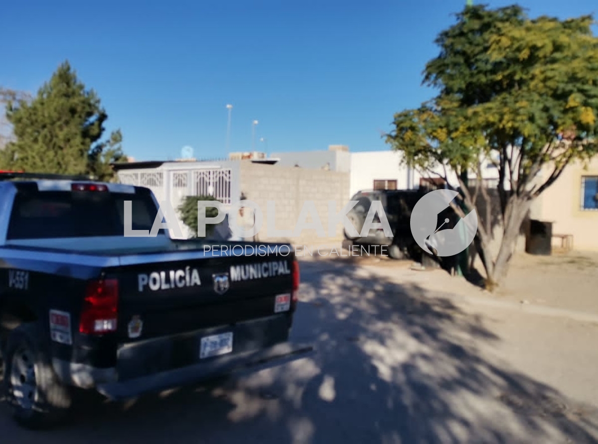 Occisos en Dias de Muertos