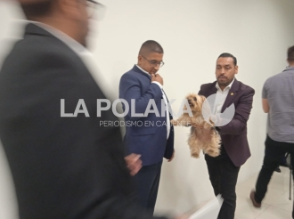 Primer Perro Faldero del Estado