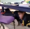 Cuando Los Niños Cantan