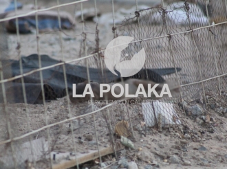 Horrores de Migrantes