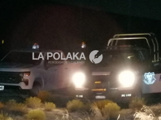 Purga de Ilegales
