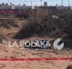 Se les Aparece la Calaca