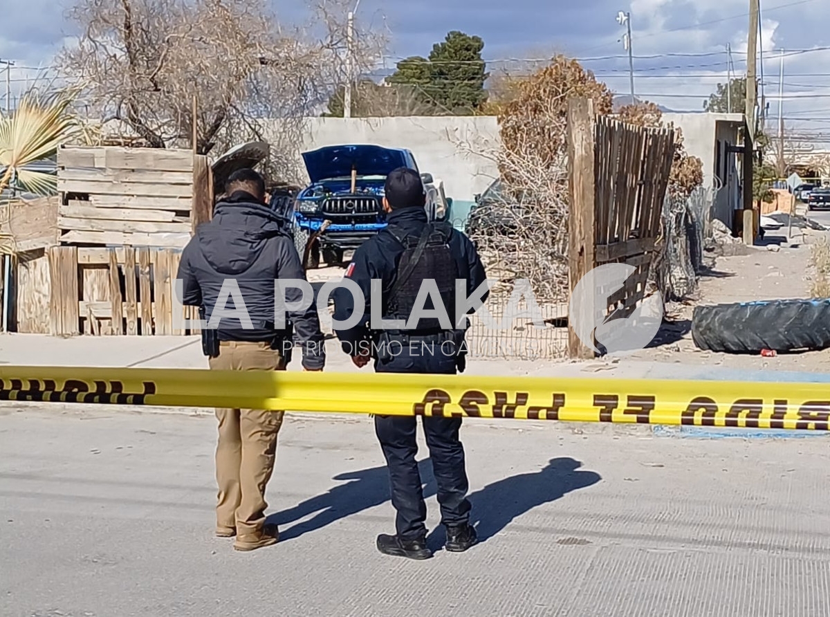 Andaba Movidón