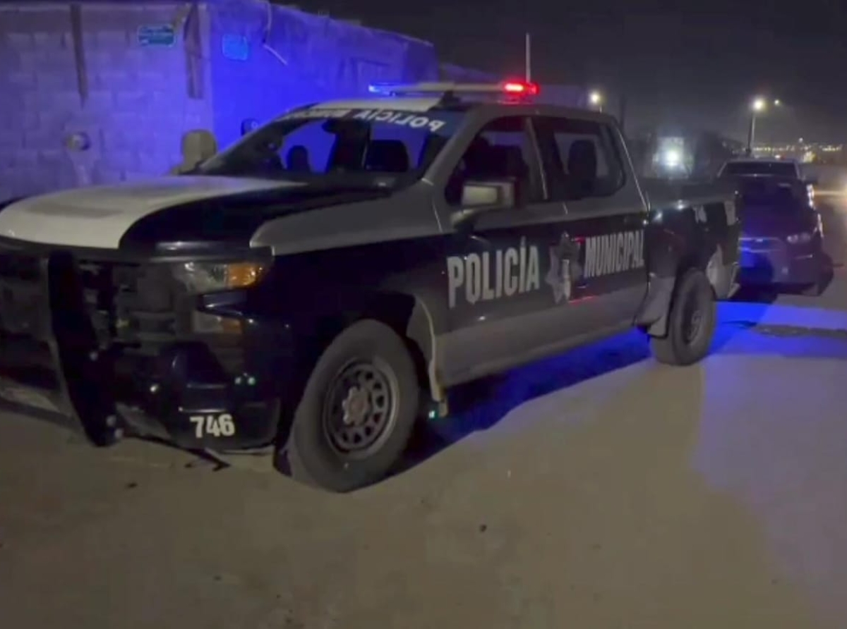 Matolandia en Juárez