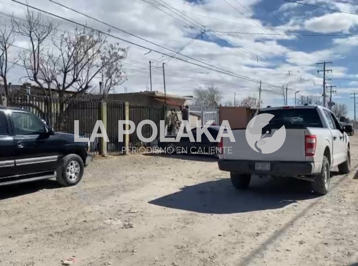 Pero Adora Sus Perros