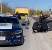 Queda Como Chicharrón