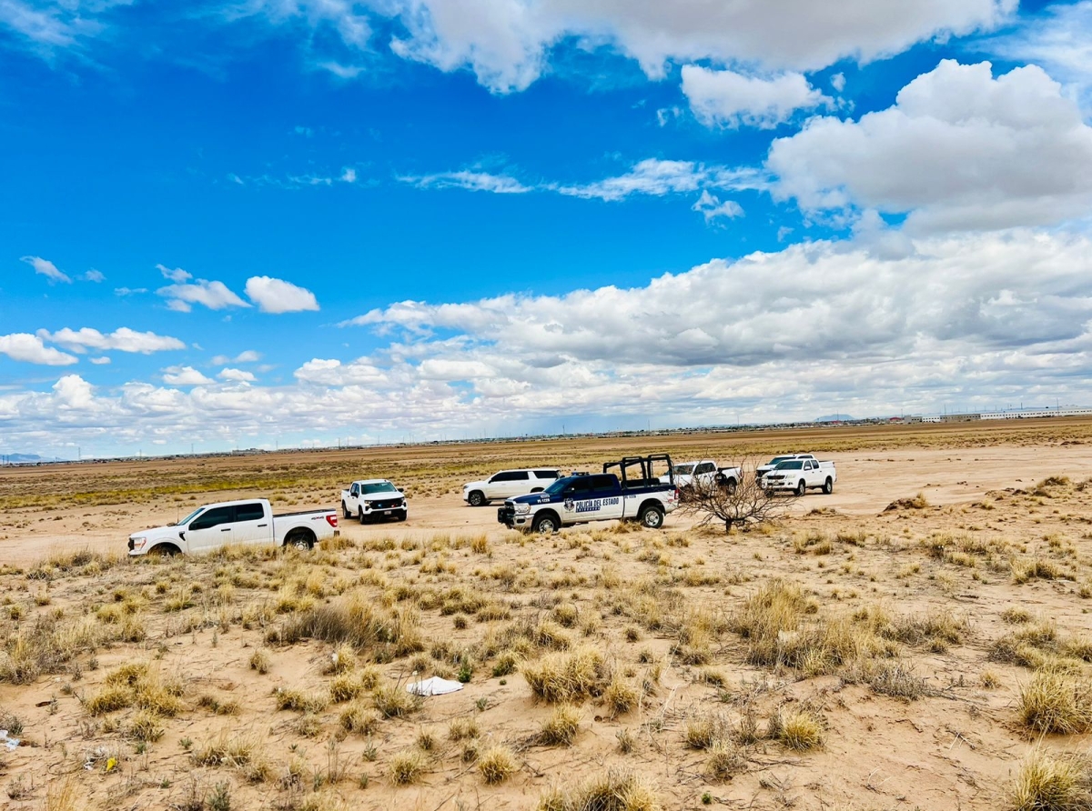 Reinas del Desierto