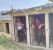 Más Desmadre