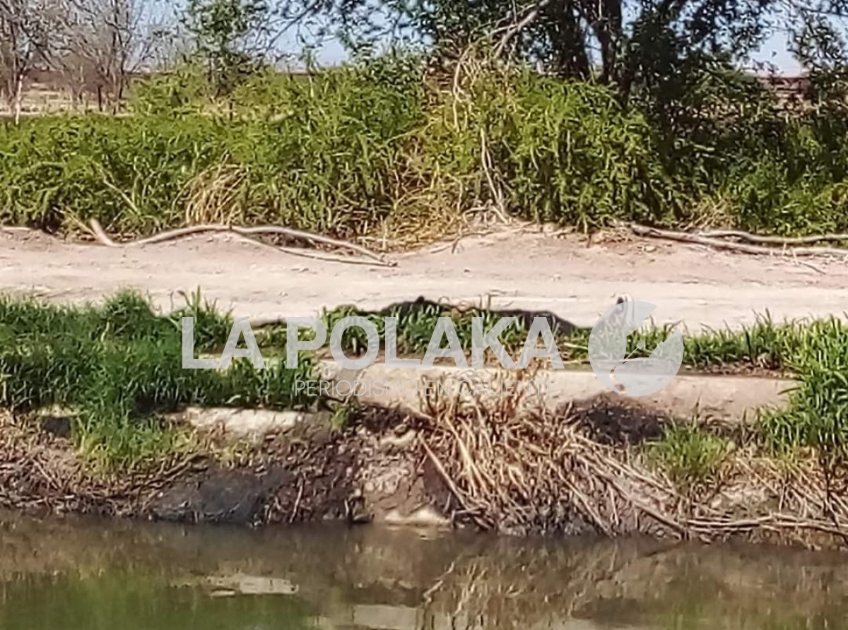 Canalización de Cadáveres