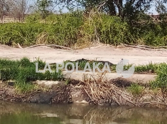 Canalización de Cadáveres