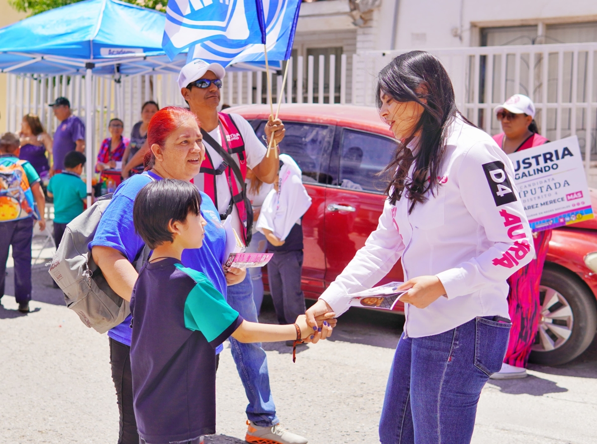 Juegando a Ser Diputada