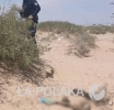 Saña Contra Crueldad