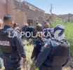 Nueva Plaga