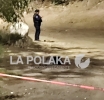 Brutal Escarmiento