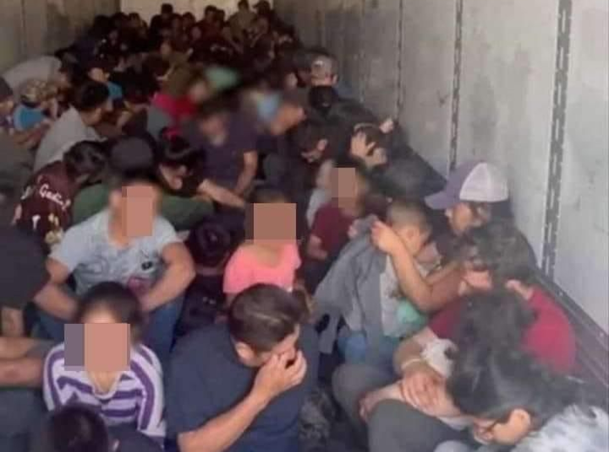 Grillos en Pánico por Trump