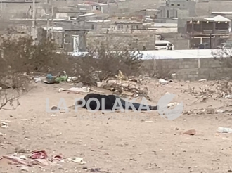 Atraco en Despoblado