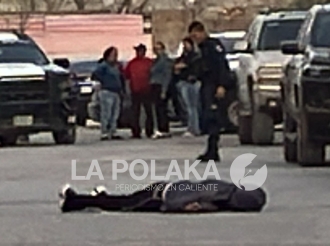 Primera Media Docena