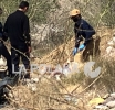 Mujeres Buscadas