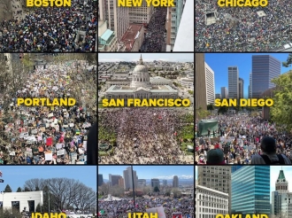 Medio Millón de Acarreados