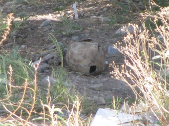 Valle de las Calaveras