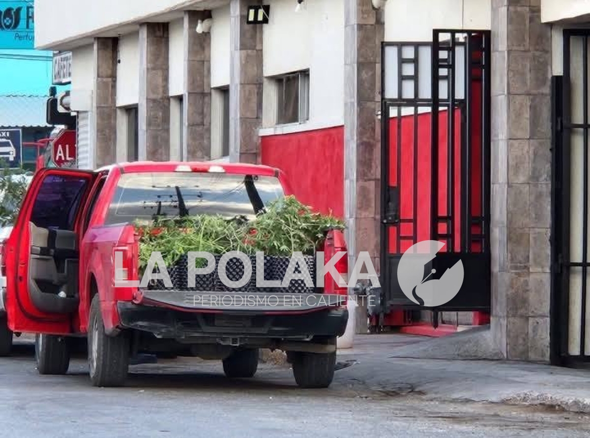 Cannabis Hotel Junto a Palacio