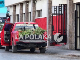 Cannabis Hotel Junto a Palacio