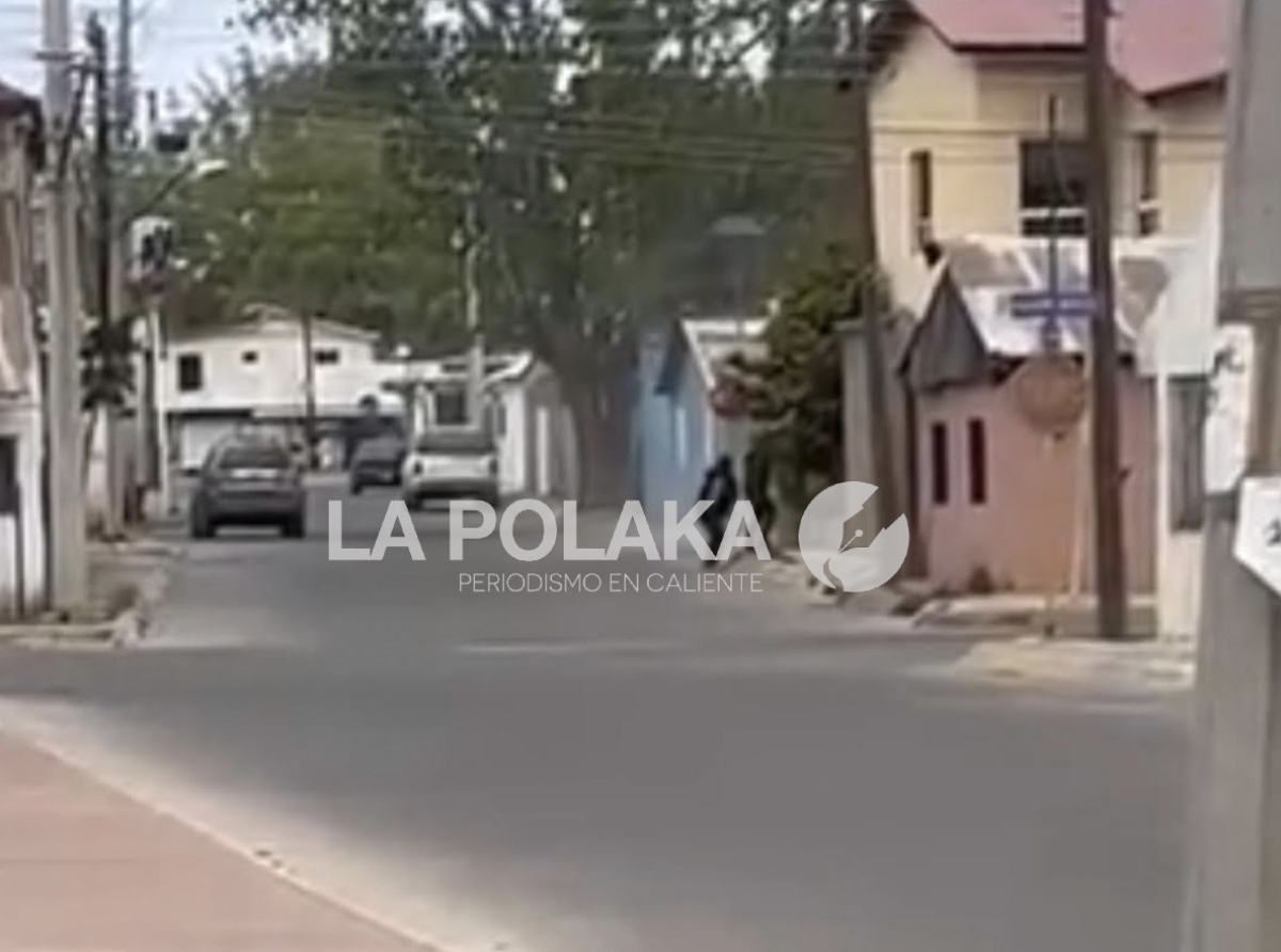 El Hocico del Lobo